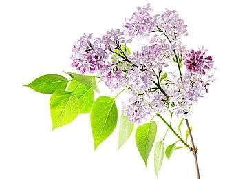 考验IQ的爆改版“推箱子”游戏 《Line Time》正式定档9月12日发售